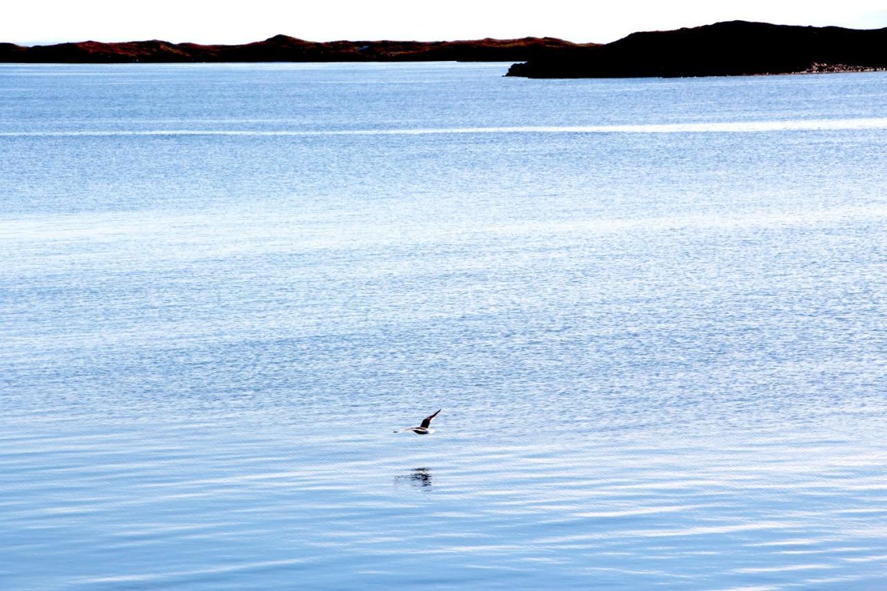 Stykkishólmur Mar Guesthouse المظهر الخارجي الصورة